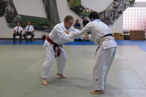 IMG 0587 1024x